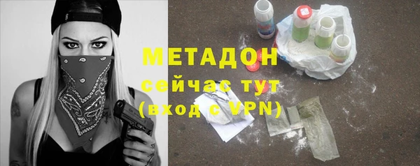 прущие грибы Алзамай