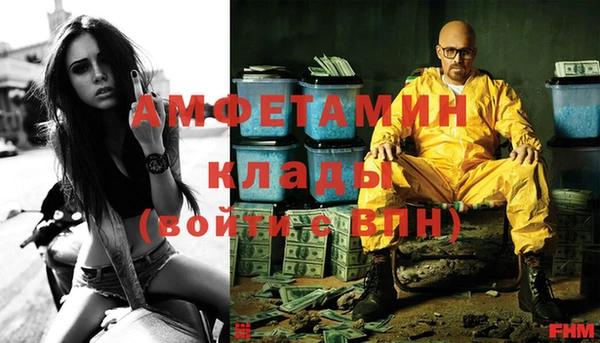прущие грибы Алзамай