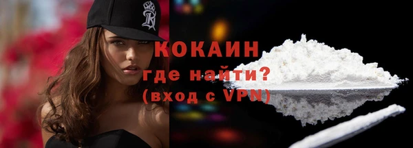 дурь Новодвинск