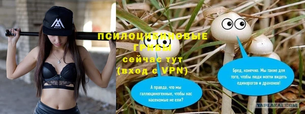 тгк Алексеевка