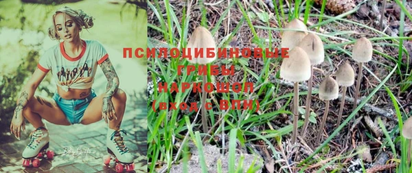 эйфоретик Алексин