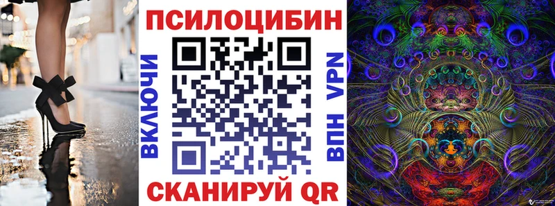 omg ссылки даркнет телеграм Псилоцибиновые грибы Psilocybine cubensis Печоры